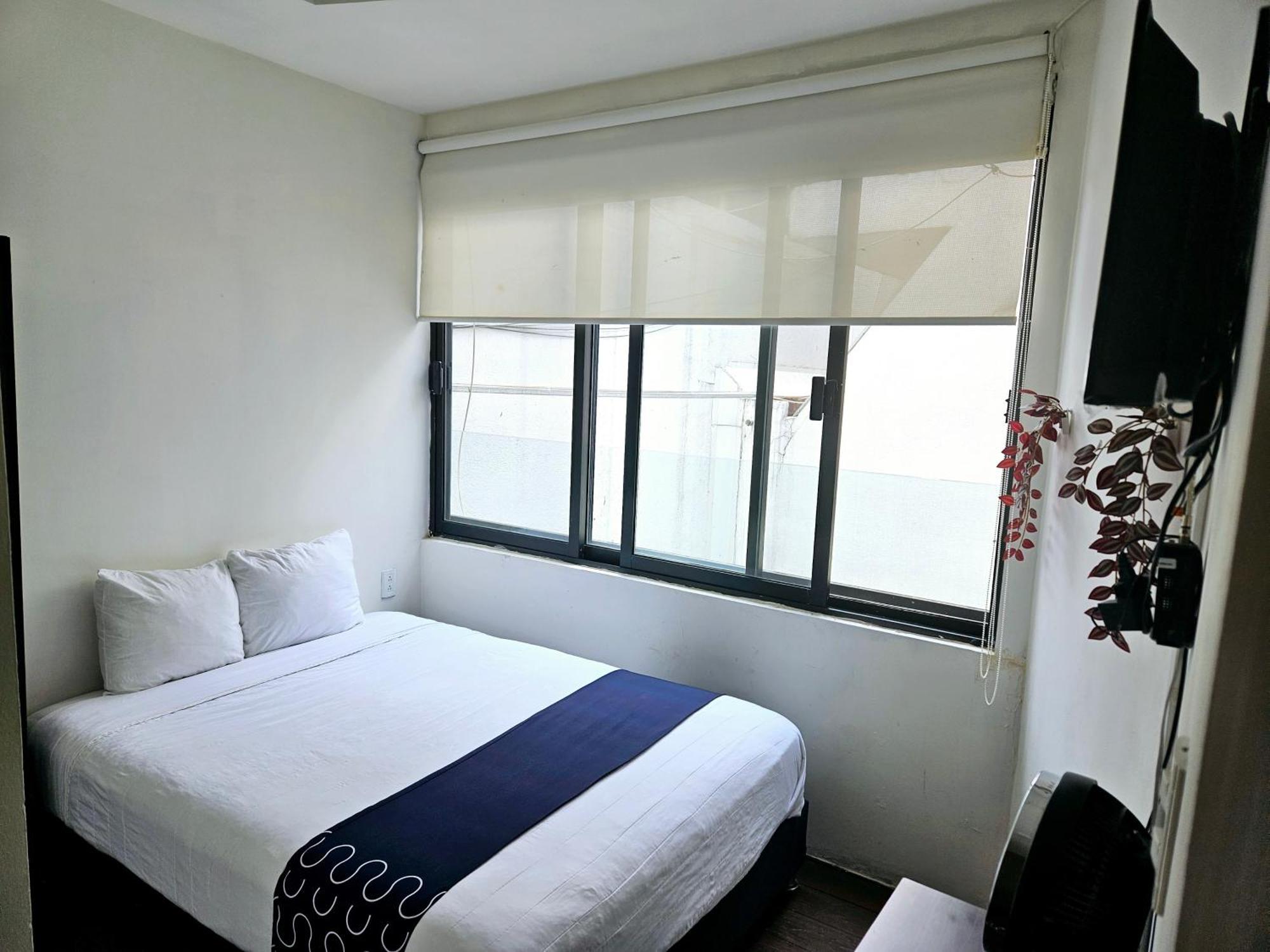 Singular Socrates Hotel Mexikóváros Kültér fotó