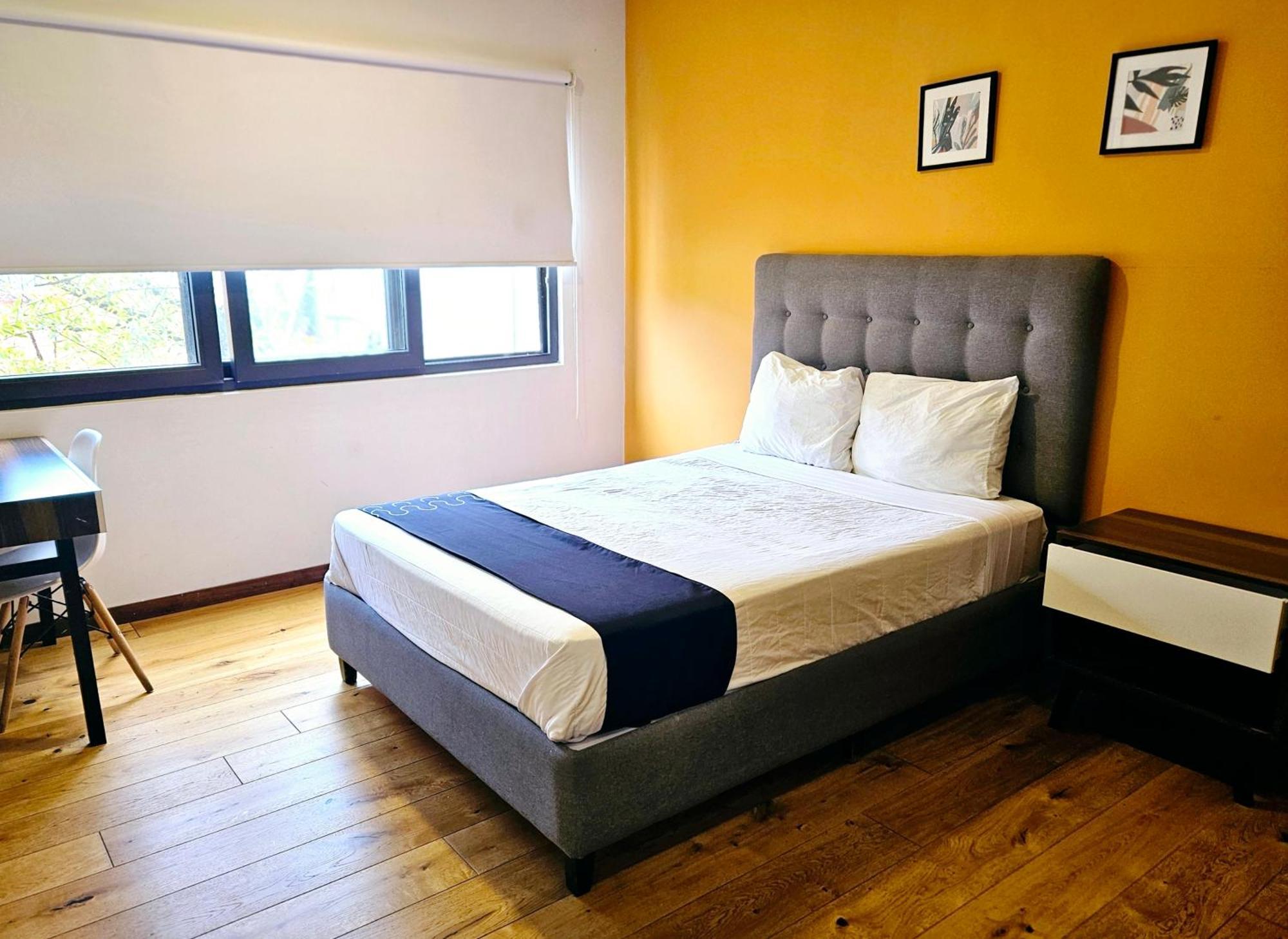 Singular Socrates Hotel Mexikóváros Kültér fotó