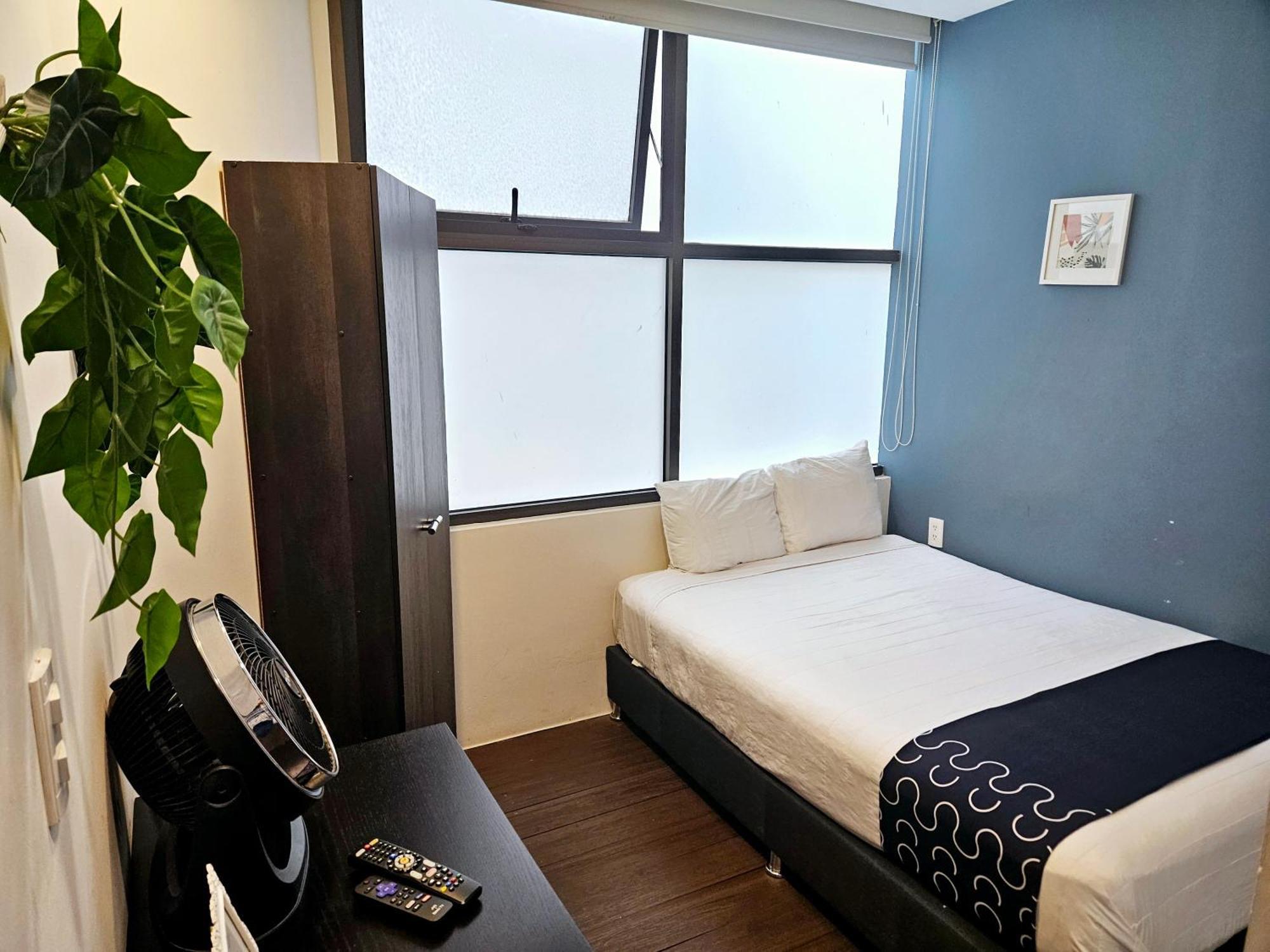 Singular Socrates Hotel Mexikóváros Kültér fotó