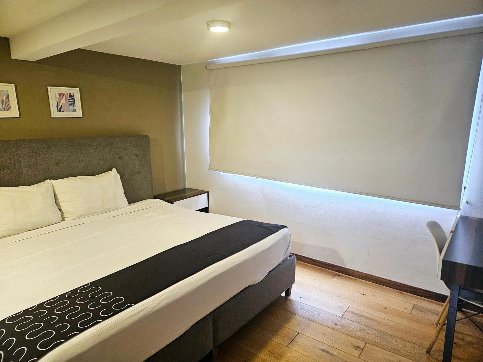 Singular Socrates Hotel Mexikóváros Kültér fotó